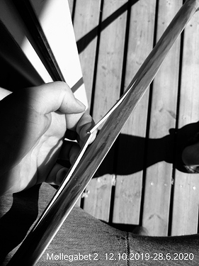 IMG_20200628_135626__01__01