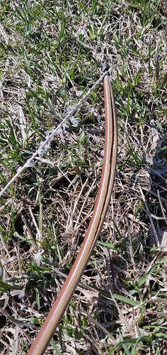 IMG_20210509_121321