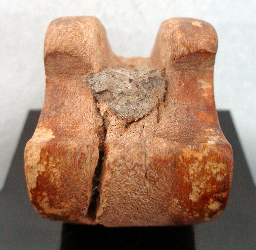 Nuß, Durchm. 3,3 cm, 35,85 g; Ebay, Nov.2014.  7