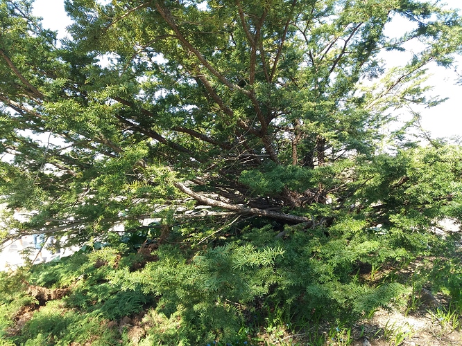 20180513_144848