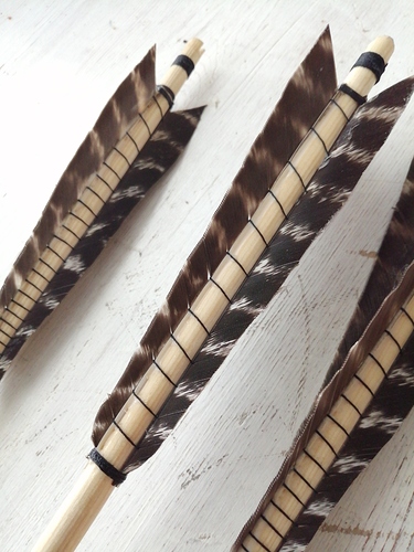 1565195285643292596874379071815