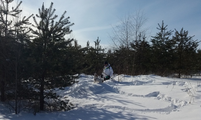 Ker%C3%A4%C3%A4m%C3%A4ss%C3%A4%20ruusunvarsia