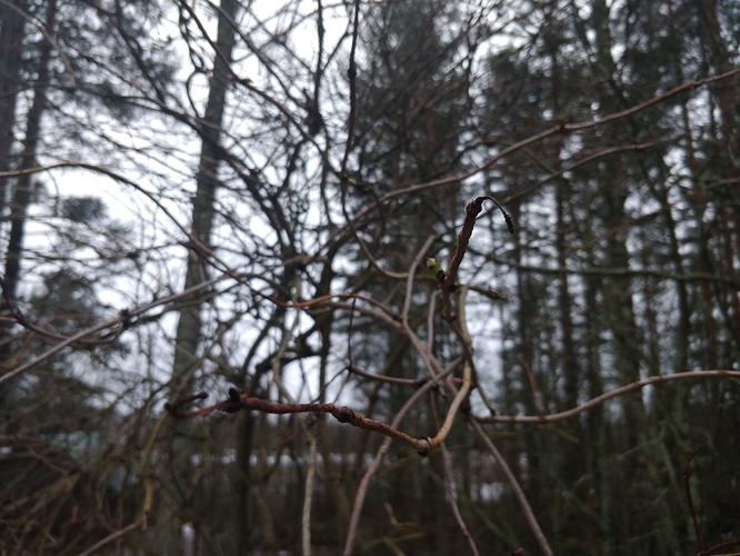 IMG_20200107_120345