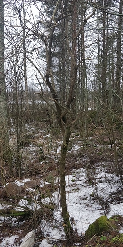 IMG_20200107_120325
