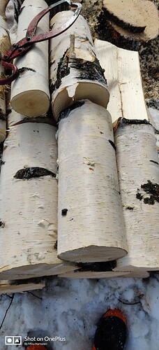 IMG_20210327_132601