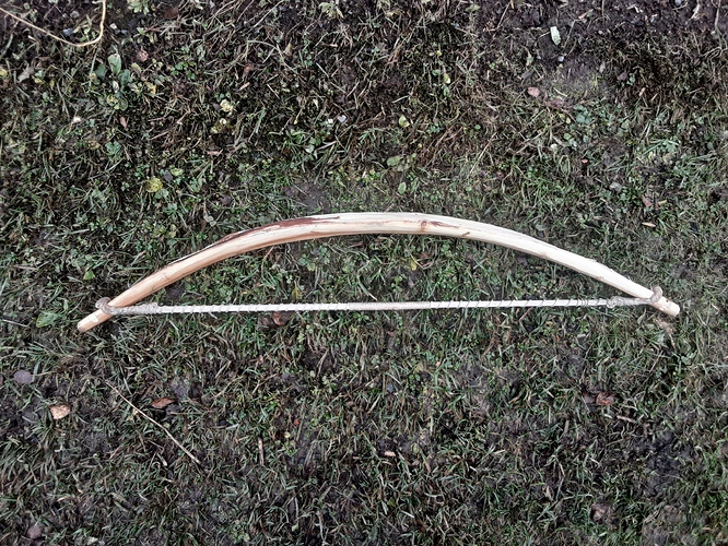20201029_133333