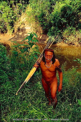 Yaminahua tribe man