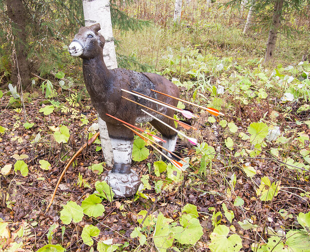 XIII_Taka_Hikia_2023-2