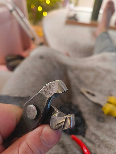 IMG_20251217_133147960