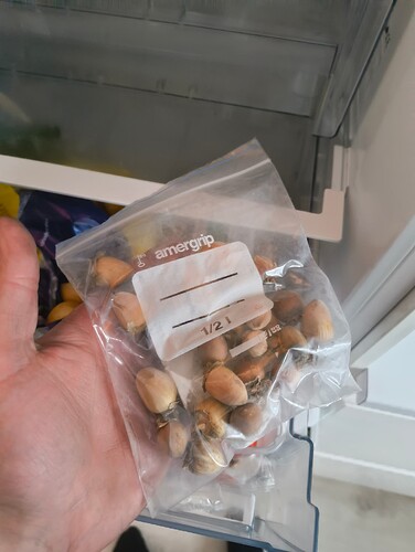 IMG_20250917_190000520