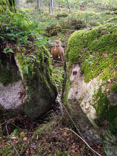 XIII_Taka_Hikia_2023-6