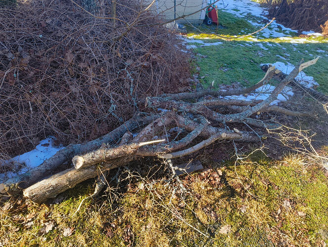 IMG_20260307_112513131