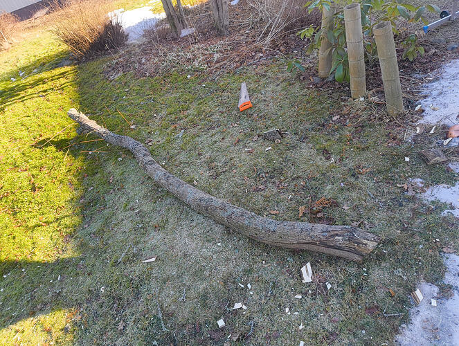 IMG_20260307_112451861