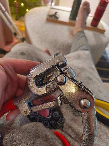 IMG_20251217_133218653