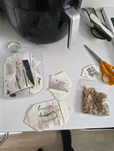 IMG_20250917_190038550