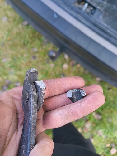 IMG_20251004_100405323