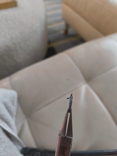 IMG_20251031_143538804