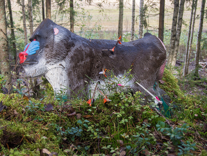 XIII_Taka_Hikia_2023-7