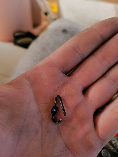 IMG_20251217_133130404