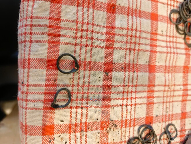 IMG_20250907_100525842