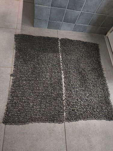 IMG_20260124_132143939