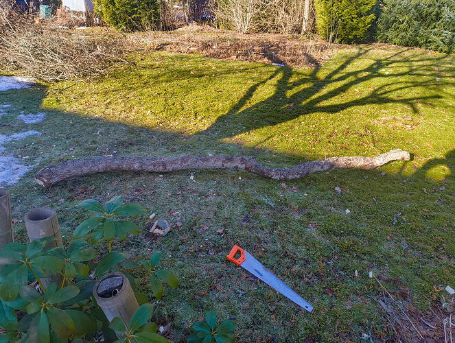 IMG_20260307_112502150