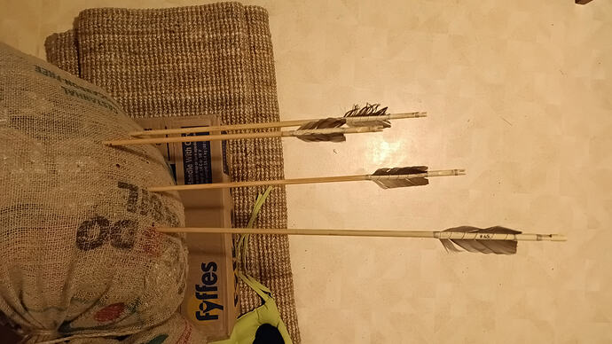 IMG_20251217_152349_895