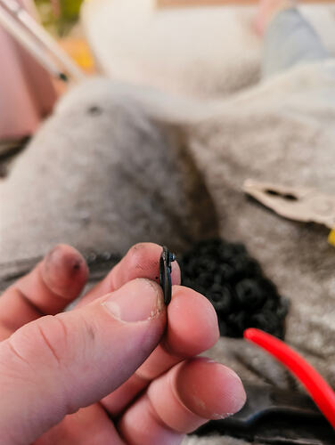 IMG_20251217_133033922