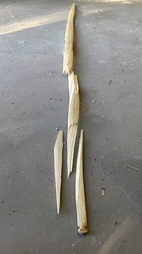 IMG_20260414_182129_560