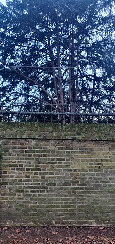 IMG_20230219_165806