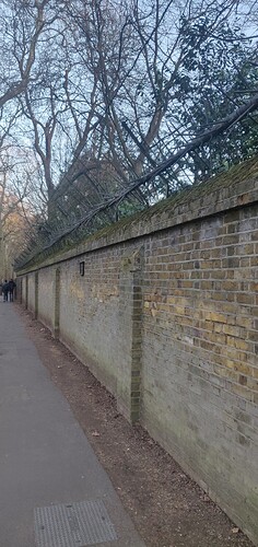 IMG_20230219_165529
