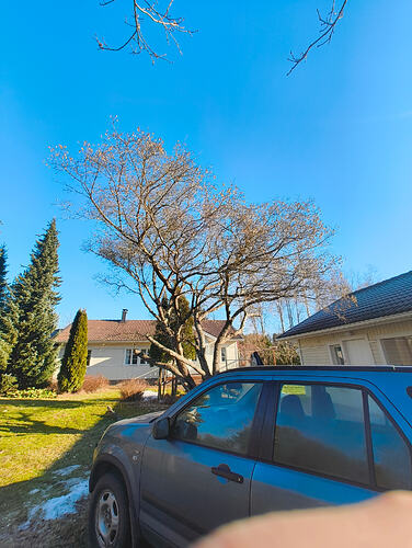 IMG_20260307_112520335