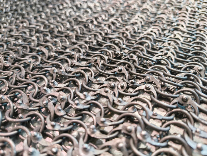 IMG_20260124_132328866